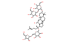 Ginsenoside-Rc图片