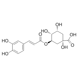 Chlorogenic acid图片