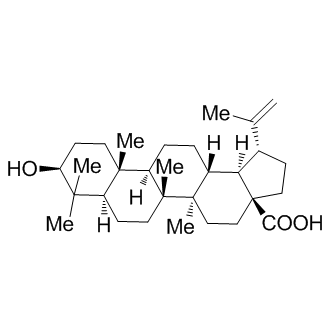 Betulinic acid图片