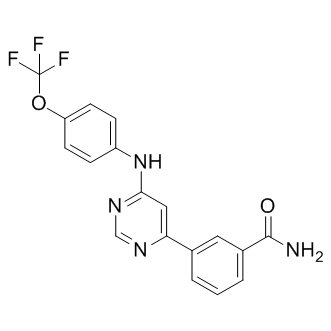 GNF-2图片