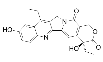 SN-38图片