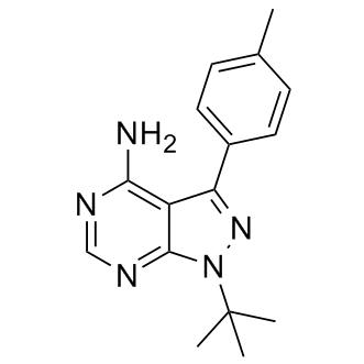 PP1图片
