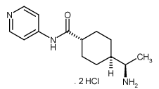 Y-27632 dihydrochloride图片