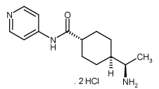 Y-27632 dihydrochlorideͼƬ