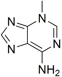 3-Methyladenine(3-MA)图片