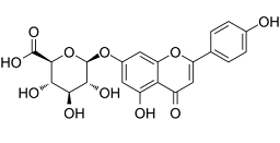 Apigenin 7-O-glucuronide图片