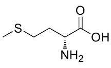 methionine图片