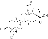23-Hydroxybetulinic acid图片