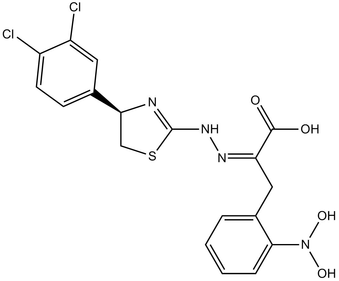 4EGI-1图片