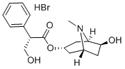 Anisodamine hydrobromide图片