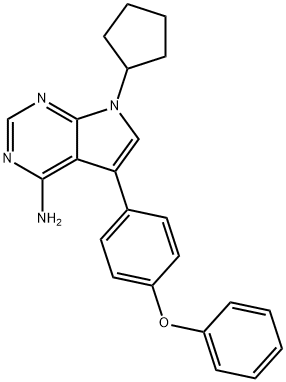 RK 24466图片