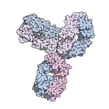 PEMBROLIZUMAB(Keytruda)图片