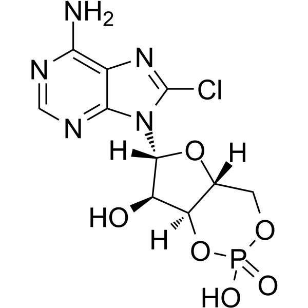 8-Chloro-cAMP图片