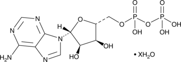 Adenosine 5&rsquo-methylenediphosphate(hydrate)图片