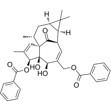 Ingenol 3,20-dibenzoate图片