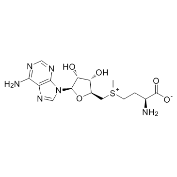 Ademetionine(S-Adenosyl-L-methionine S-Adenosyl methionine SAMe AdoMet)图片