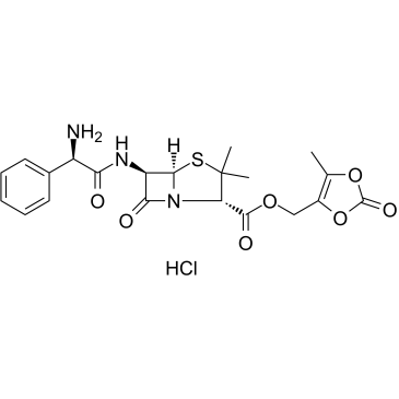 Lenampicillin hydrochloride(KBT 1585 hydrochloride)图片