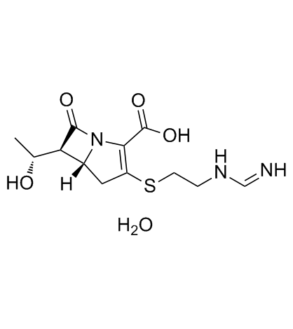 Imipenem monohydrate图片