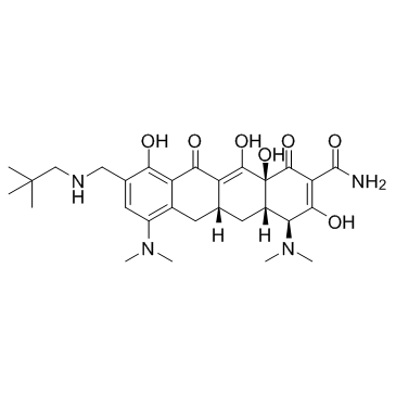 Omadacycline(PTK 0796 Amadacycline)图片