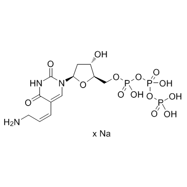 AA-dUTP sodium salt(Aminoallyl-dUTP sodium salt)图片
