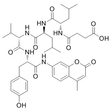 Suc-Leu-Leu-Val-Tyr-AMC(Suc-LLVY-AMC)图片