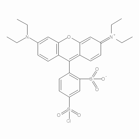Sulforhodamine B acid chloride图片