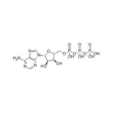 ATP(Adenosine 5'-triphosphate)图片