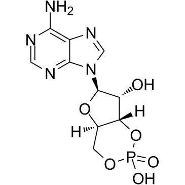 Cyclic AMP图片