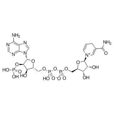 NADP(β-NADP,Coenzyme II,NADP,TPN)图片