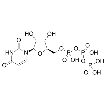 Uridine triphosphate(UTPUridine 5'-triphosphate)图片