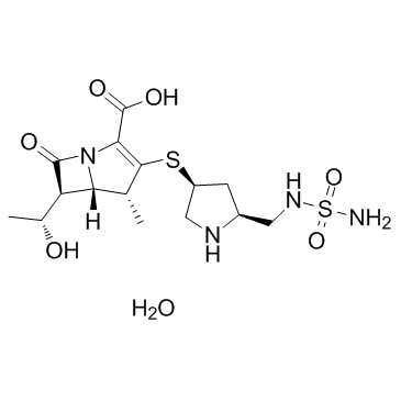 Doripenem monohydrate(S 4661 monohydrate)图片