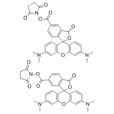 5(6)-TAMRA SE(5(6)-Carboxytetramethylrhodamine N-succinimidyl ester)图片