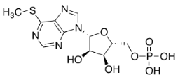 6-Methylthiopurine Ribonucleotide图片