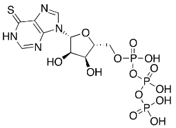 6-Thioinosine 5'-Triphosphate图片