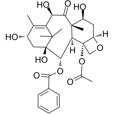 10-Deacetylbaccatin III图片
