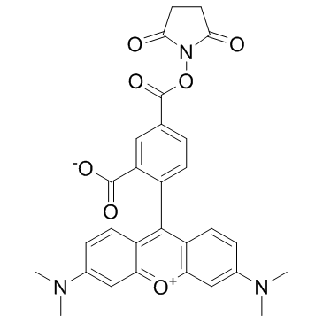 5-TAMRA-SE(5-TAMRA-NHS ester5-Carboxytetramethylrhodamine succinimidyl ester)图片