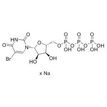 5-BrUTP sodium salt(5-Bromouridine 5'-triphosphate sodium salt)图片