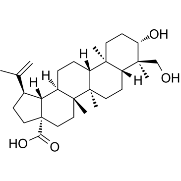 23-Hydroxybetulinic acid(Anemosapogenin)图片