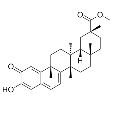 Pristimerin(Celastrol methyl ester)图片