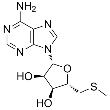 5'-Methylthioadenosine(5'-(Methylthio)-5'-deoxyadenosine5'-S-Methyl-5'-thioadenosine)[CAS2457-80-9]图片