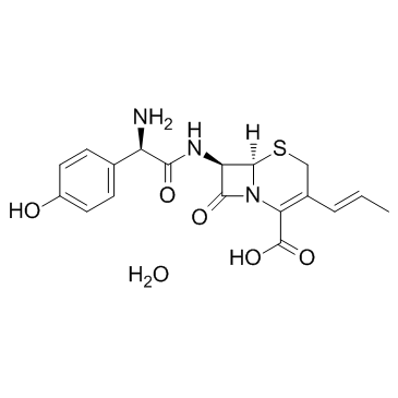 Cefprozil monohydrate图片