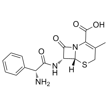 Cephalexin(CefalexinCephacillin)图片