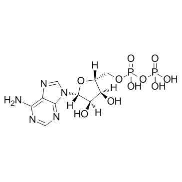 Adenosine 5'-diphosphate图片