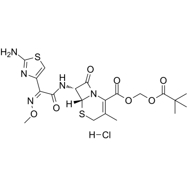 Cefetamet pivoxil hydrochloride(Ro 15-8075)图片