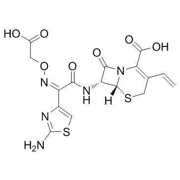 Cefixime(FR-17027FK-027CL-284635)图片