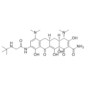 Tigecycline(GAR-936)图片