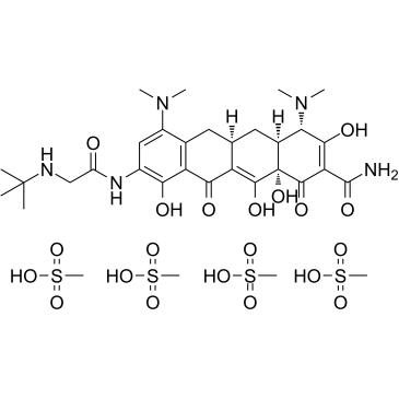Tigecycline tetramesylate(GAR-936 tetramesylate)图片