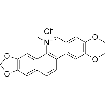 Nitidine chloride图片