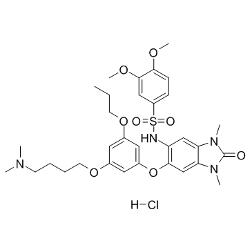 IACS-9571 Hydrochloride(ASIS-P040 Hydrochloride)图片