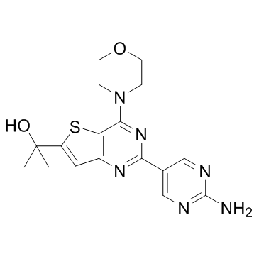 GNE-493图片